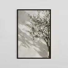 Mediterranean Olive Tree Canvas